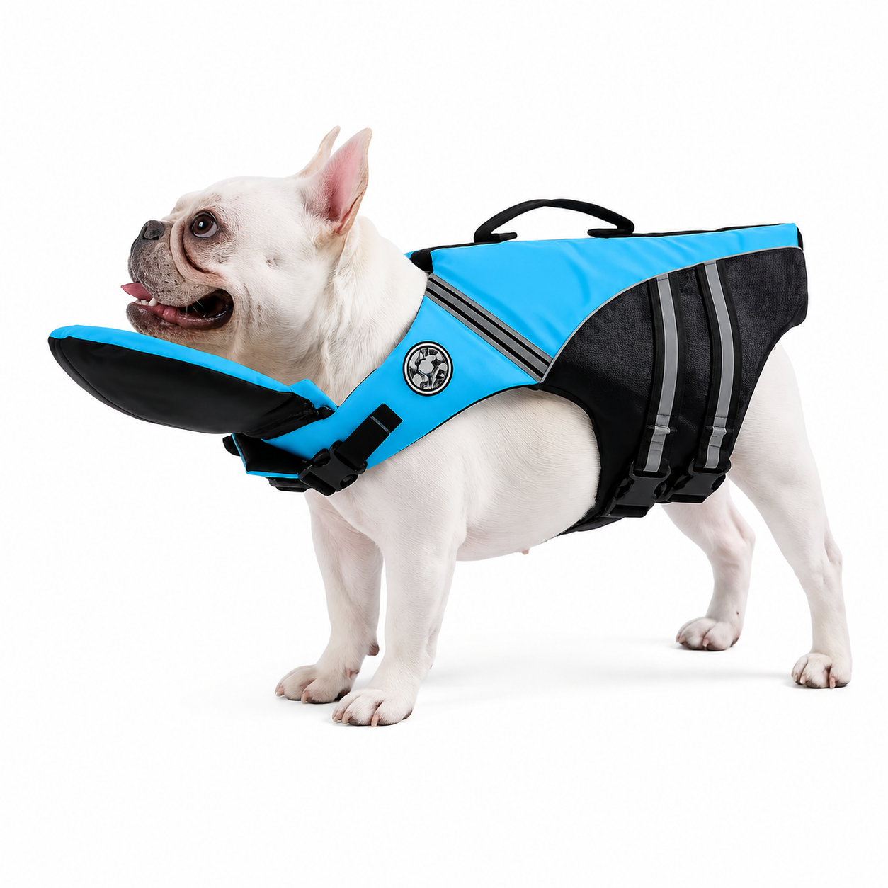 Pawqua™ – Giubbotto Salvagente